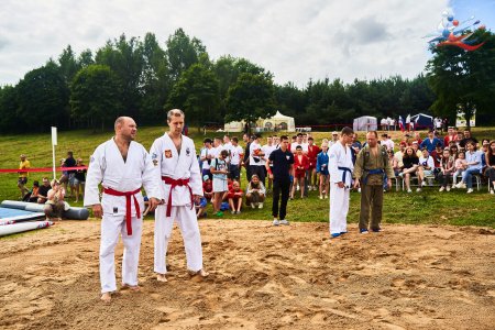 Фестиваль спортивных игр 