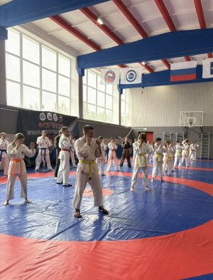 Аттестация на пояса Международной Федерации рукопашного боя в Перми